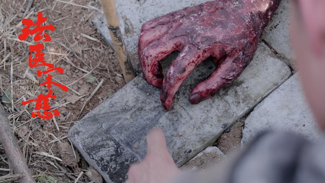 《法医宋慈》海报第52张图片 《法医宋慈》海报第52张图片