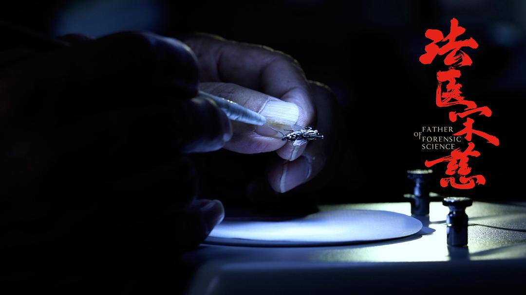 《法医宋慈》海报第17张图片 《法医宋慈》海报第17张图片